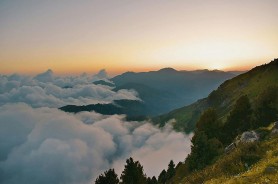 蘑菇视频避坑指南：关于清单，你需要知道这5点（省时间的）